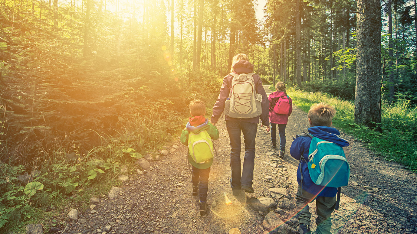 Eine Erwachsene und mehrere Kinder wandern auf einem Waldweg.